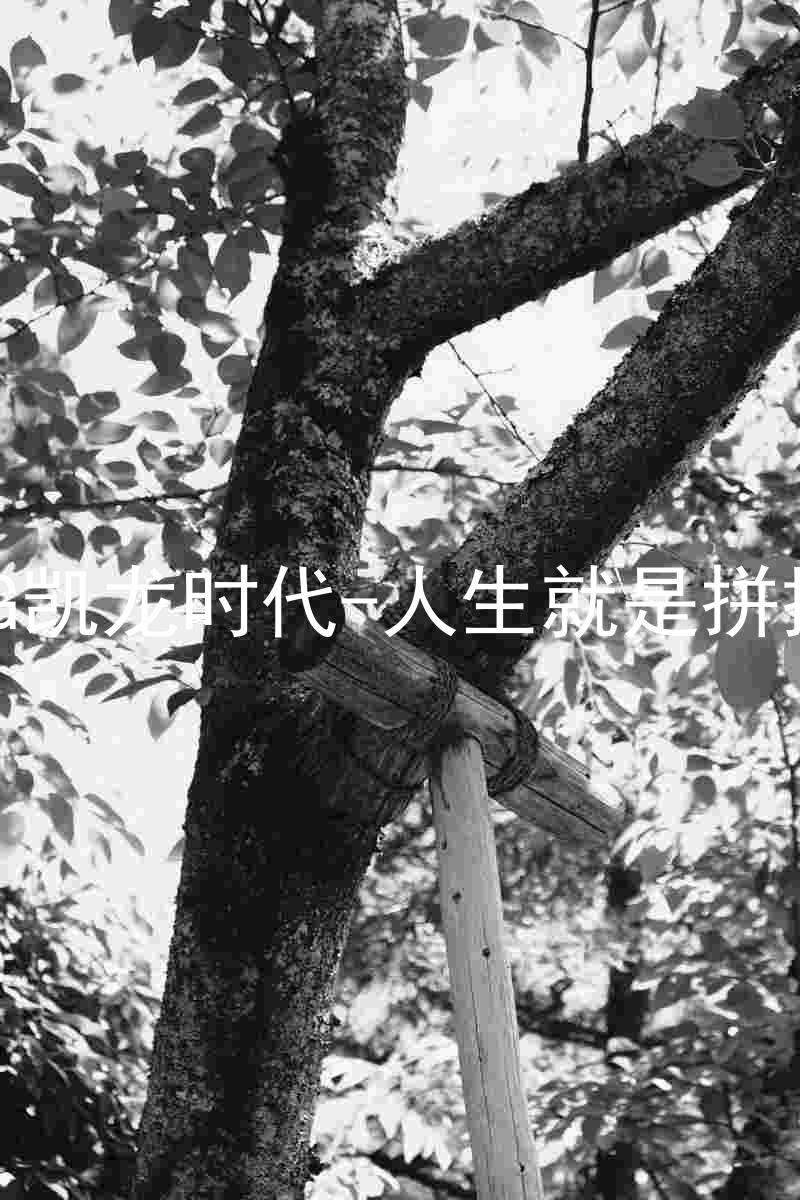 AG凯龙时代-人生就是拼搏